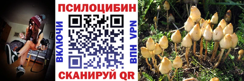 Купить закладки  Минусинск  Псилоцибиновые грибы MAGIC MUSHROOMS 